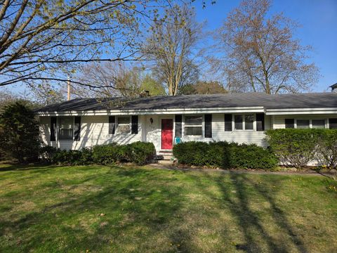 Photo of 203 S Luray Street, Greenville City, MI 48838 (MLS # 65026017720)