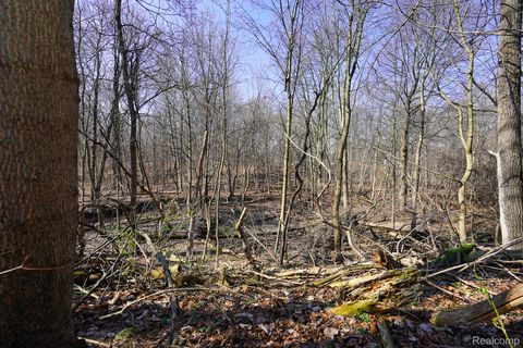 Tiny photo for 19327 Hardy Street, Livonia City, MI 48152 (MLS # 20261021844)