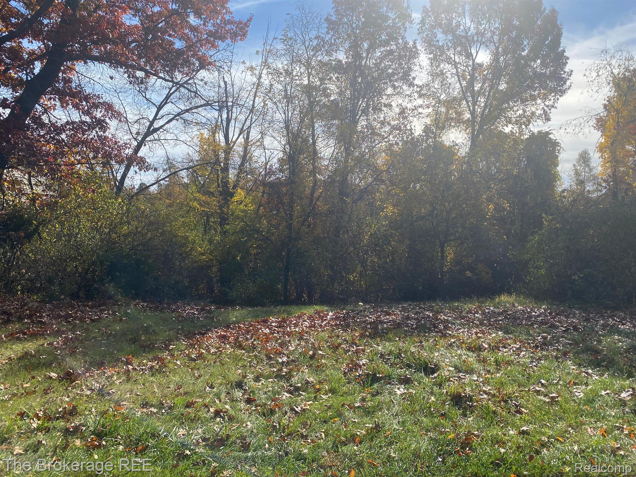 9035 HURON BLUFFS Drive