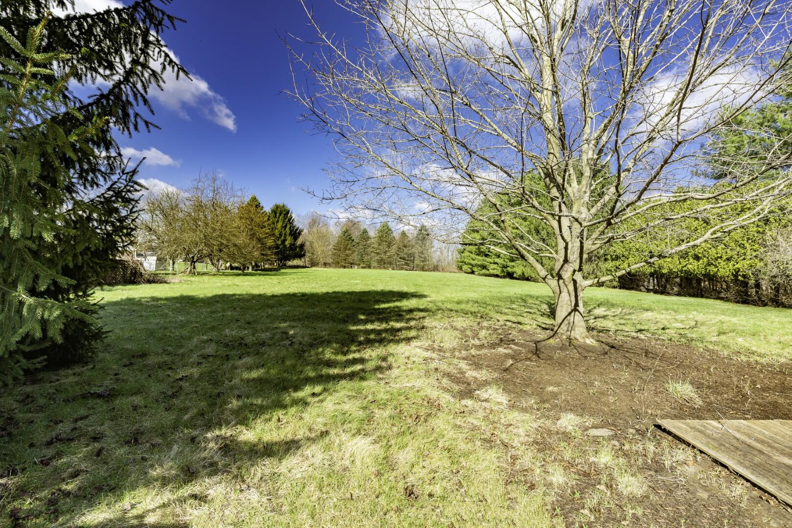 4425 Dexter Townhall Road