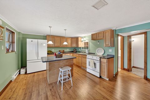 Tiny photo for 20008 M 60, Park Township, MI 49093 (MLS # 69026009608)