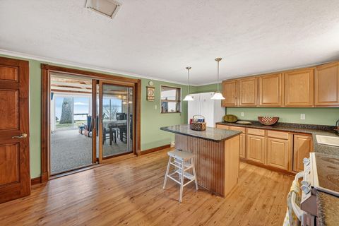 Tiny photo for 20008 M 60, Park Township, MI 49093 (MLS # 69026009608)