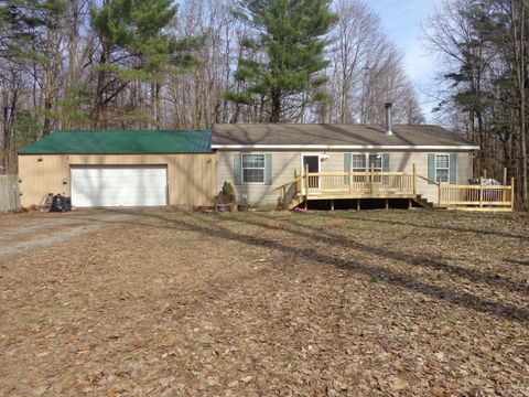 222 E 4th Street Breedsville Village MI 49056