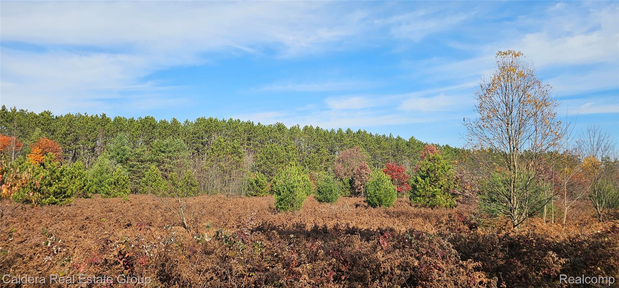 6877 Country Lane