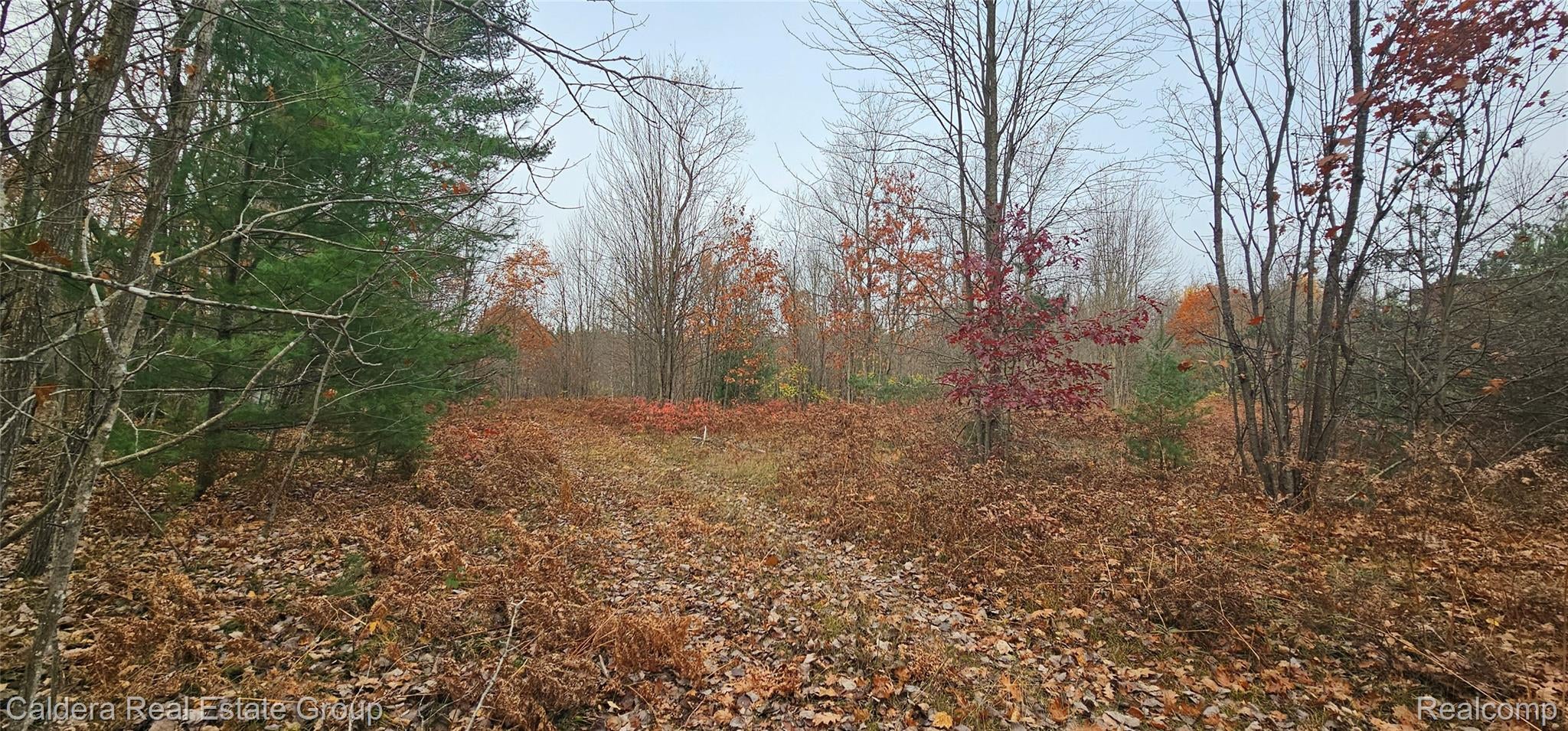 6877 Country Lane