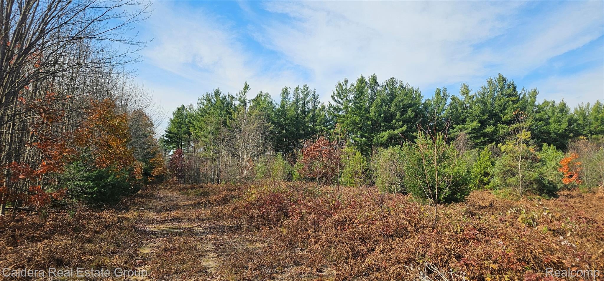 6877 Country Lane