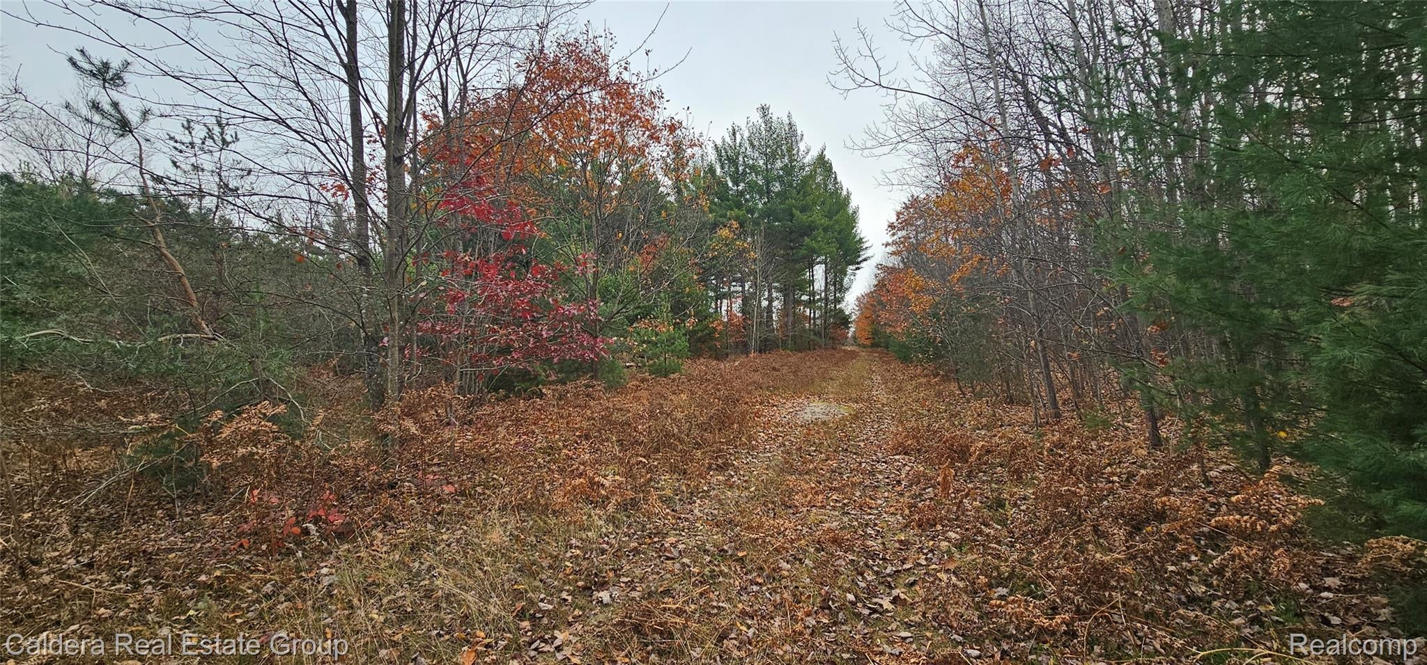 6877 Country Lane