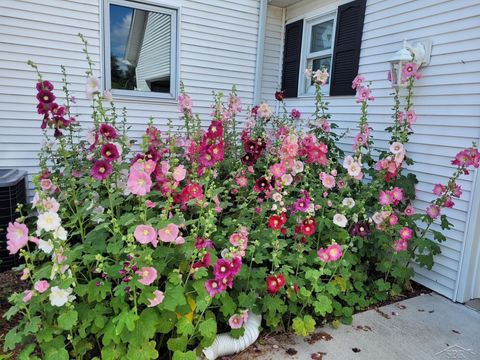 listing image 53