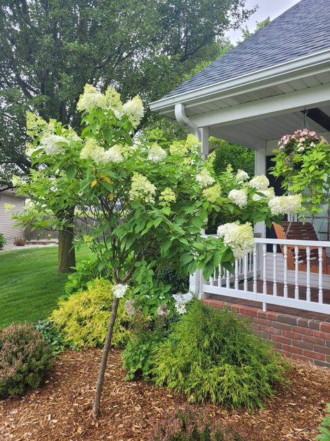 listing image 54
