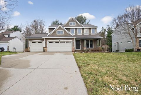 16861 Birchview Drive Crockery Township MI 49448