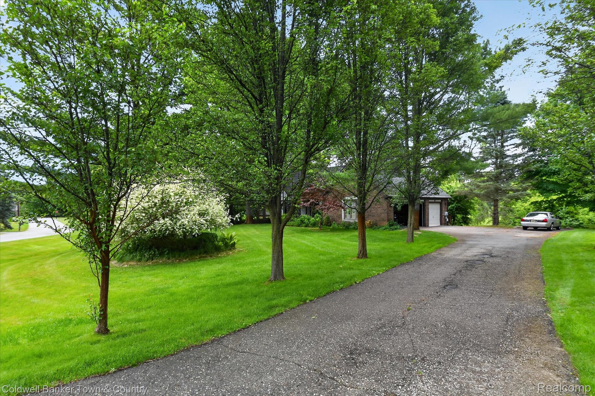 6656 Snowshoe Lane