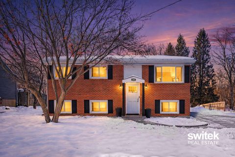 220 Stadium Drive Middleville Village MI 49333