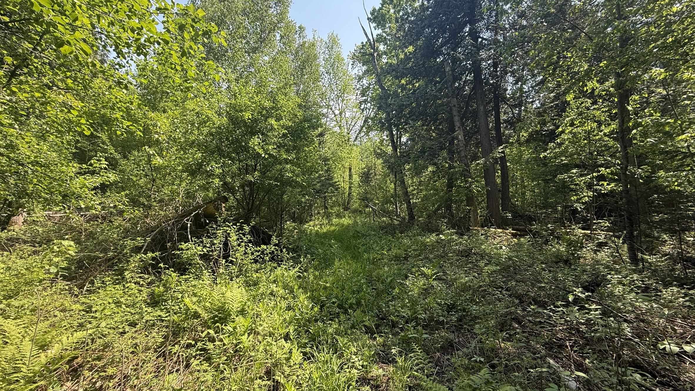TBD Old State Road
