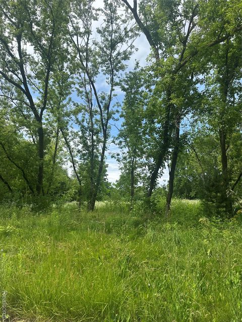 VL Lakeview Park Drive Fenton Charter Township MI 48430