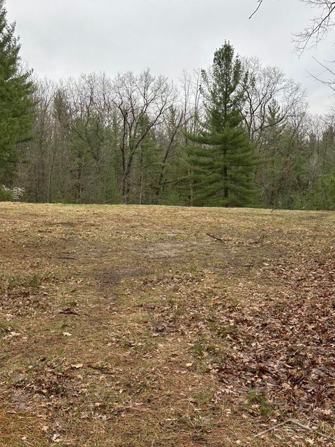 VL Pineview Court Moffatt Township Arenac MI 48610
