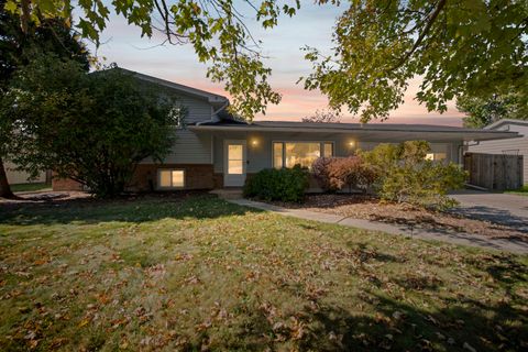 503 N Walker Street Capac Village MI 48014