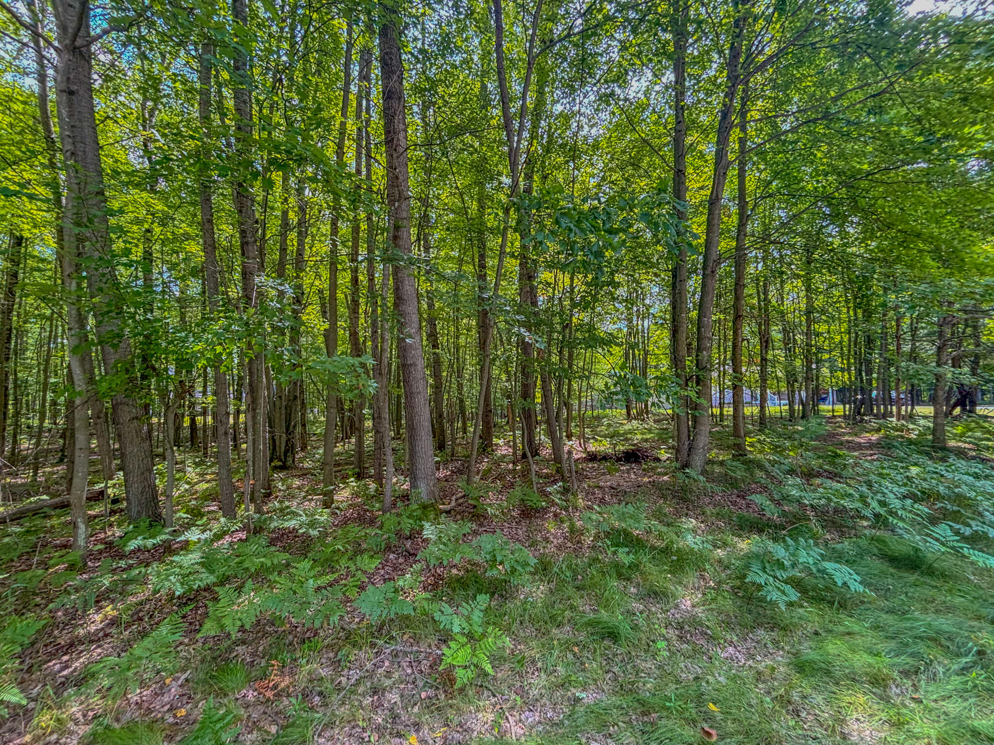 9385 Clubhouse Drive W