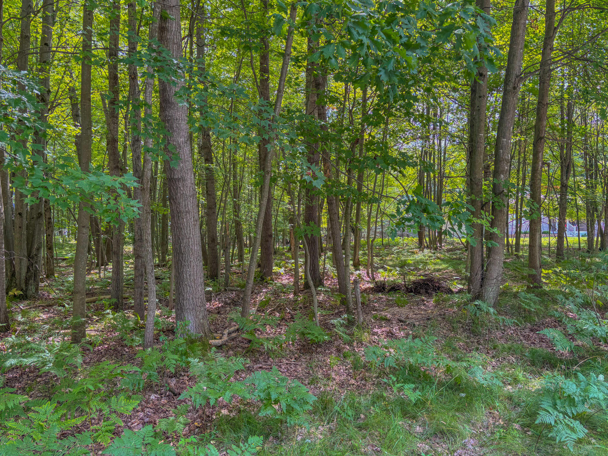 9385 Clubhouse Drive W