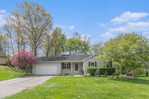 2438 MELVIN Drive Oceola Township Livingston MI 48843