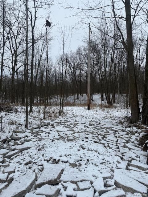 0 Williams Road Argentine Township MI 48436