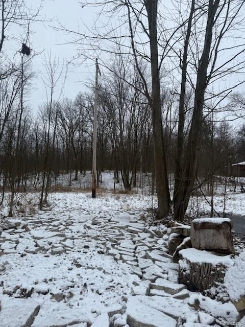 0 Williams Road Argentine Township MI 48436