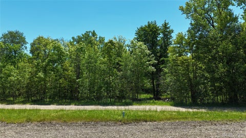 Photo for 0 Williams Road