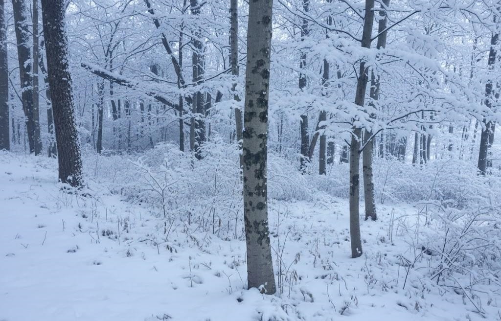 4181 Maple Hill Road