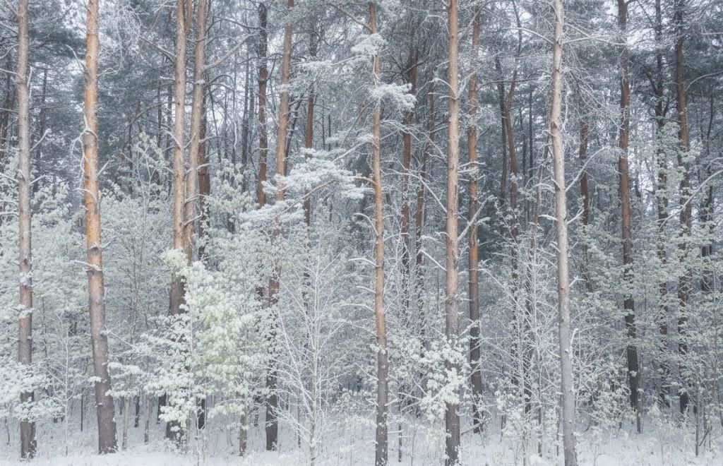 4181 Maple Hill Road