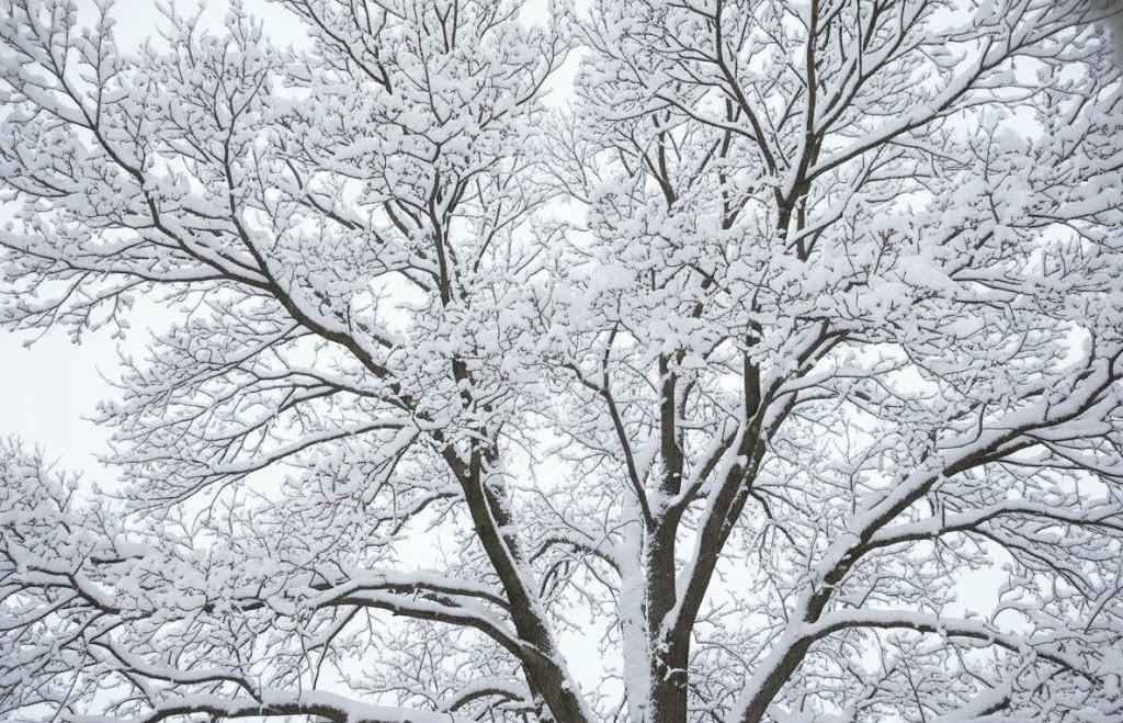 4181 Maple Hill Road