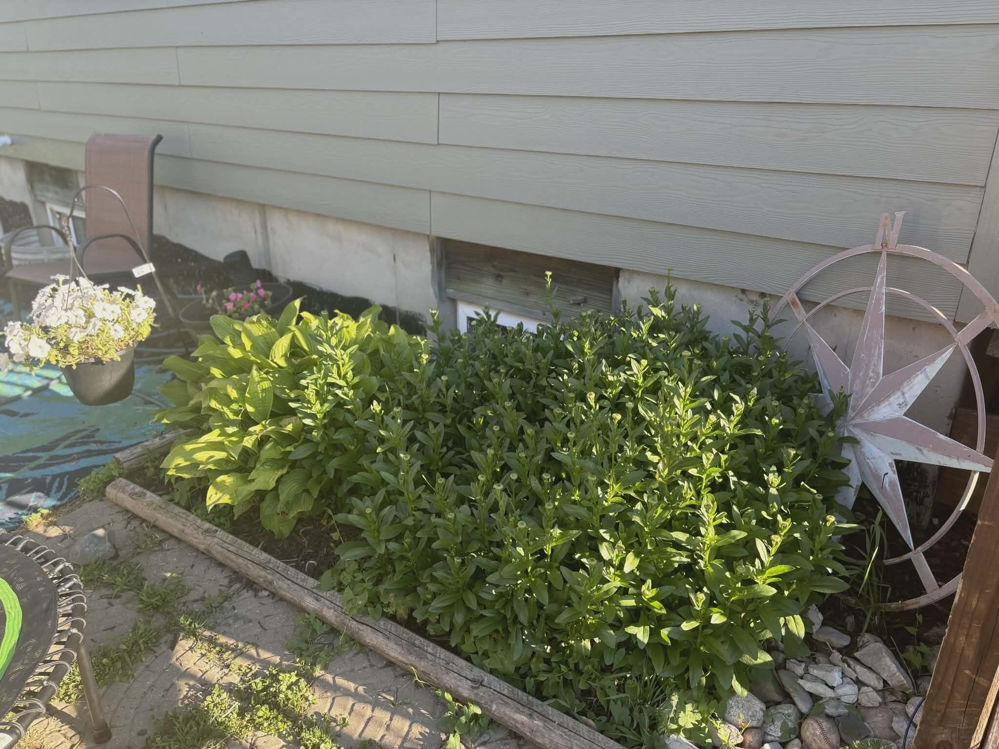 4112 E Vermontville Highway