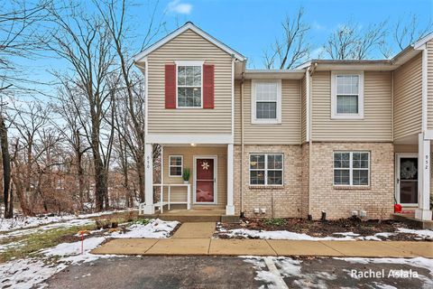 950 Ada Place Drive SE Ada Township MI 49546