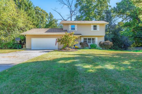 258 Easthill Drive Emmett Charter Township MI 49014