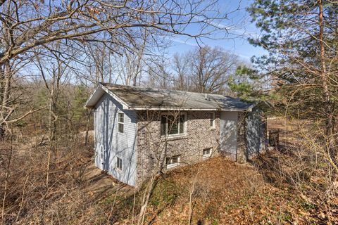 8945 Vergennes Street SE Ada Township MI 49301