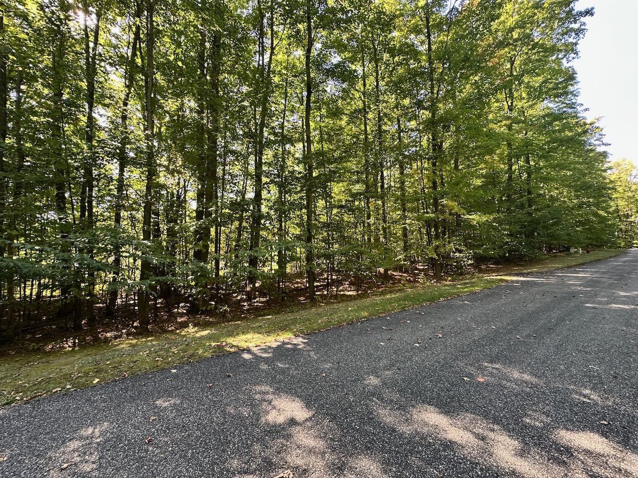 Units 149 & 150 Olympia Fields