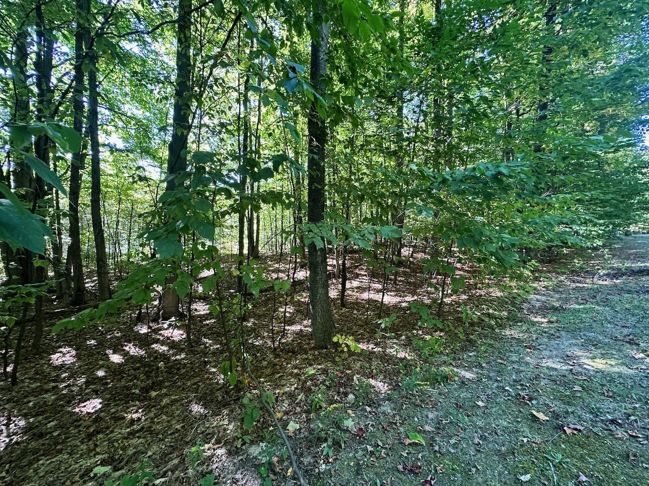 Units 149 & 150 Olympia Fields