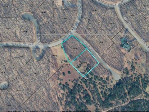 Units 149 & 150 Olympia Fields Custer Township MI 49615