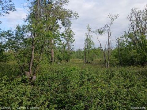 0000 Finnegan Rd, Chester Township MI 49751