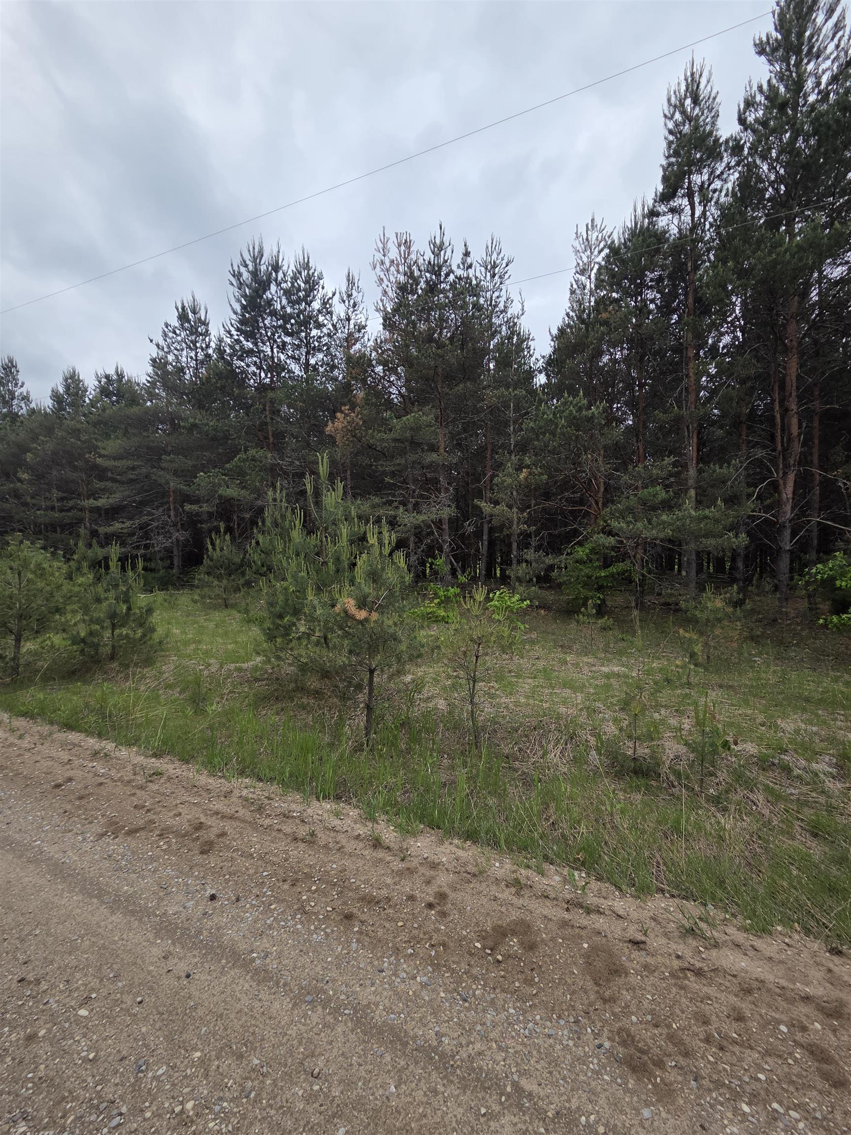 County Line Road