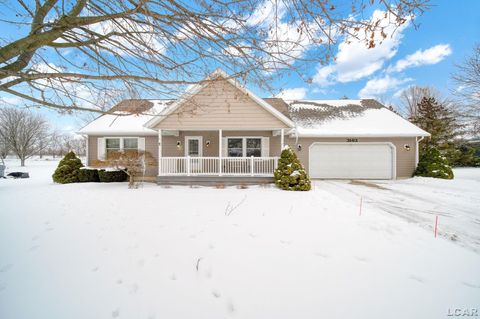 3163 Birch Run Adrian Township MI 49221