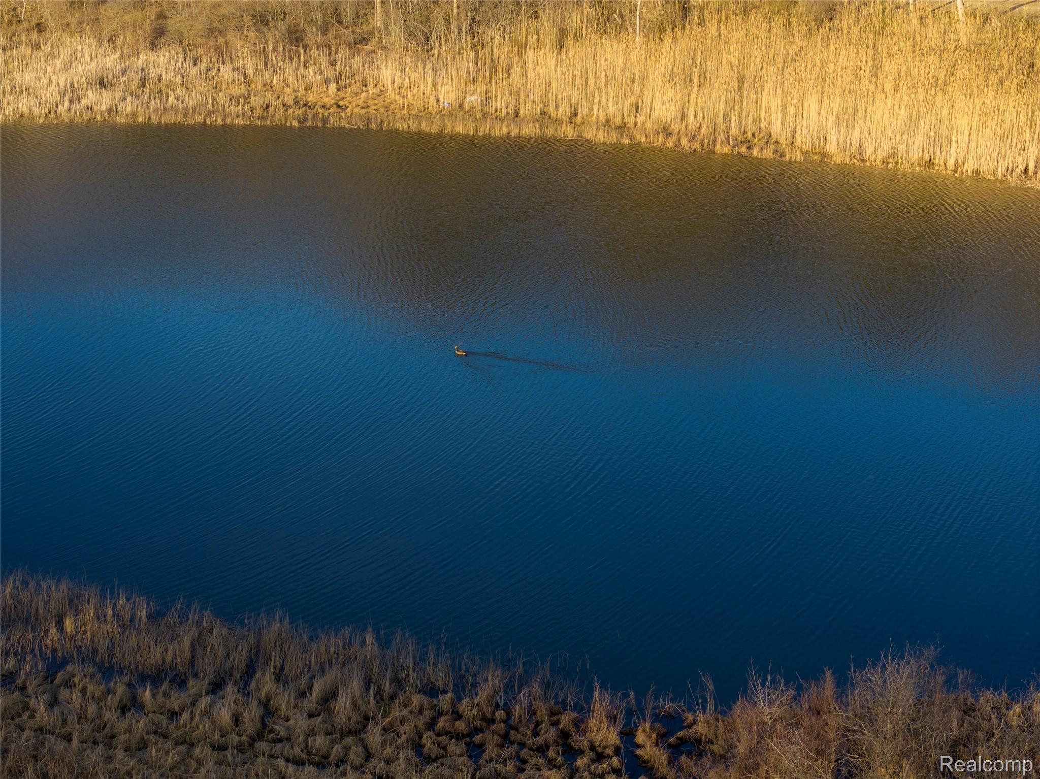14400 Eddy Lake Road