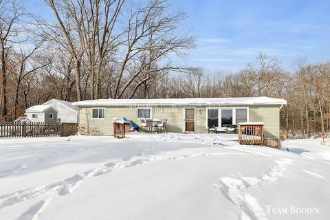 3749 N Bass Lake Road Pierson Township MI 49339