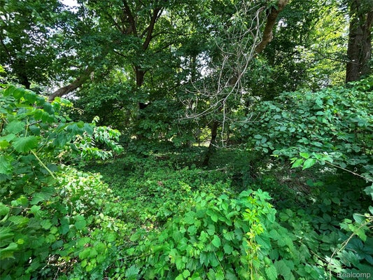 505 S TELEGRAPH RD, DEARBORN, MI 48124 - Image dbaa8affdbb523f6beea304a6ab1b84a/294533262