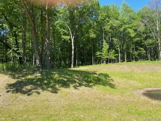 RIDGE RD, SOUTH LYON, MI 48178 - Image dbb614ab64bb25c1c6d7b8d6d2a98e25/2400642745