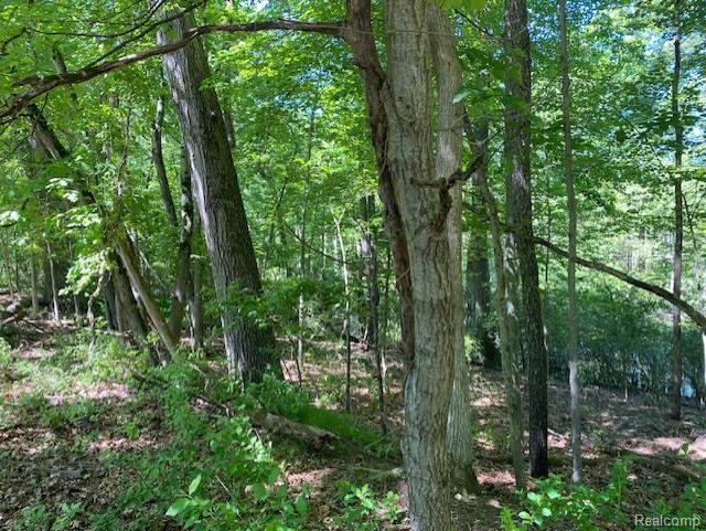 Lot 5 Dollar Ridge Lane