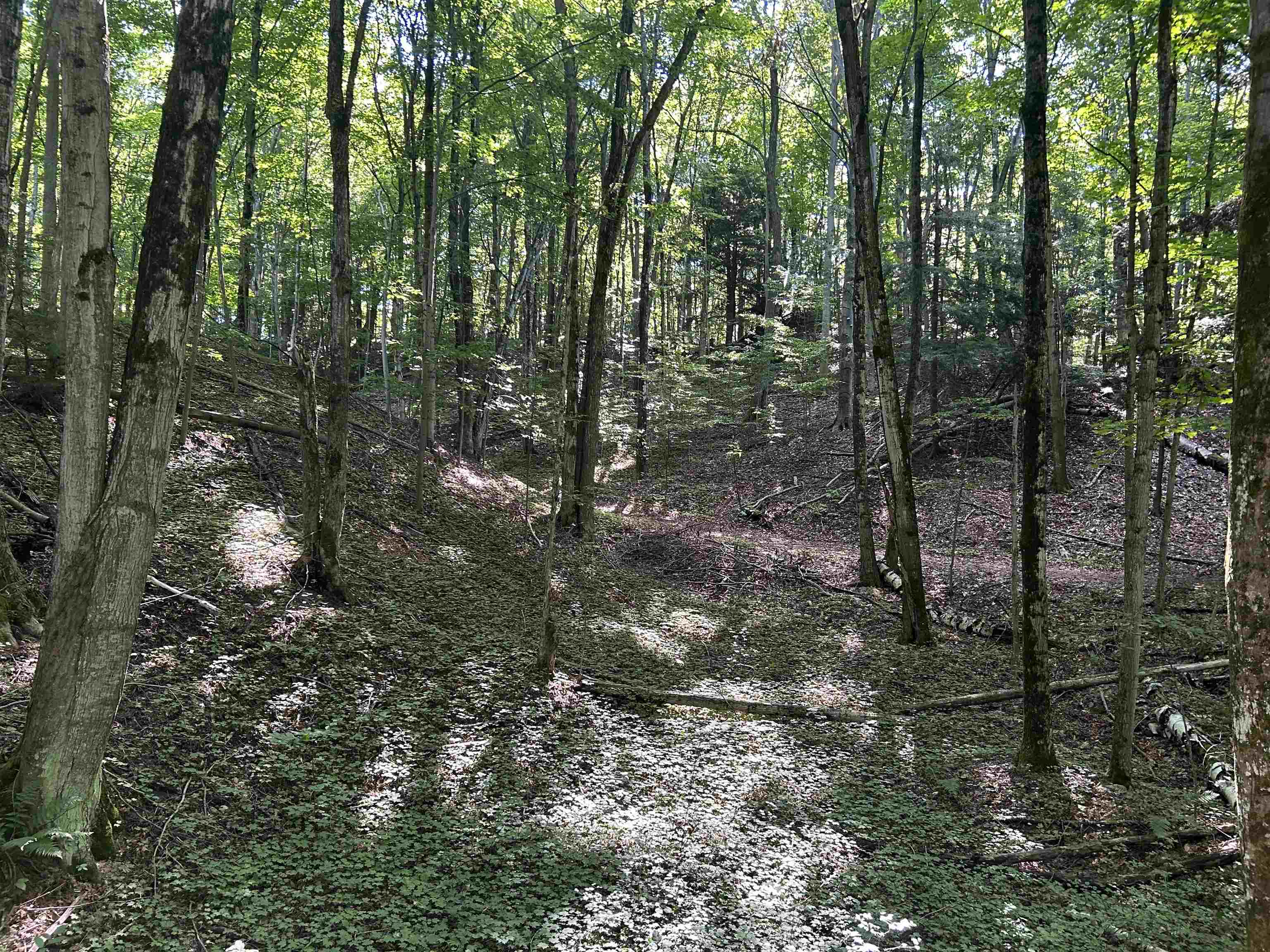 Lots 150 to 157 Neoma Trail