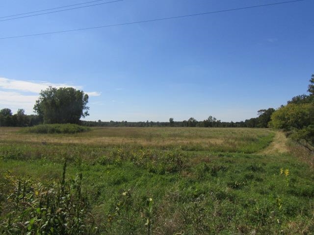 V/L Morrice Rd. Road