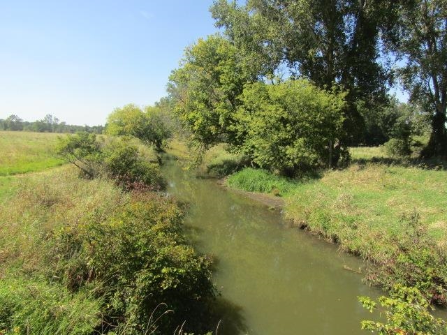 V/L Morrice Rd. Road