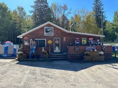 11380 Starvation Lake Road NE Blue Lake Township MI 49659