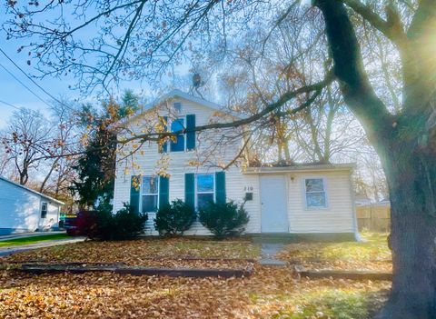 310 Locust Street Marshall City MI 49068