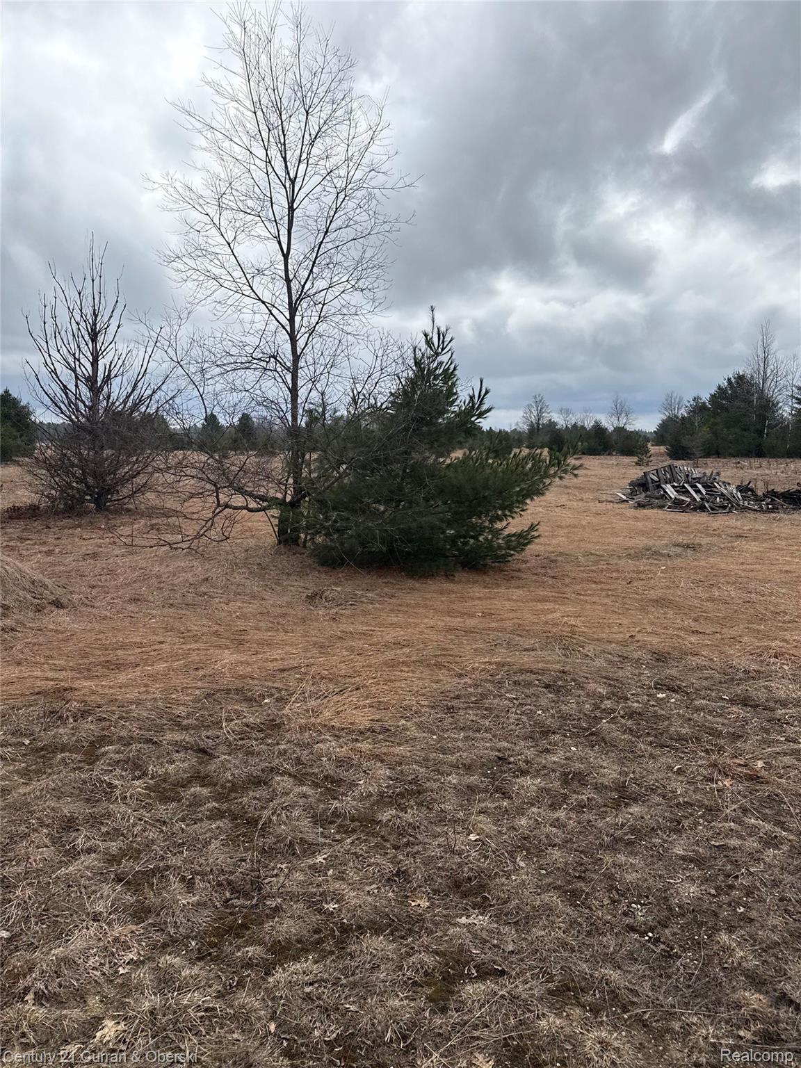 00000 SW Vroom Rd SW